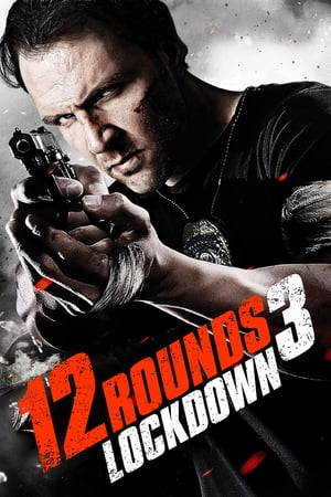 12 Rounds 3 Lockdown 2015 Hindi Dual Audio [780MB]