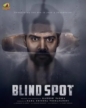 Blind Spot 2025 Hindi Dual Audio HD Poster Download - filmyfly