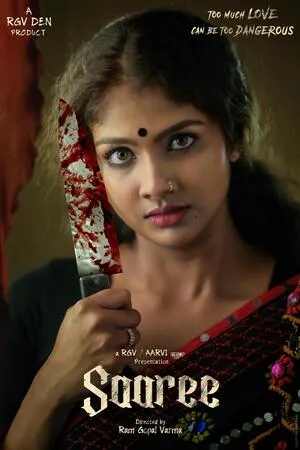 Saaree 2025 Hindi Dual Audio HD Poster Download - filmyfly