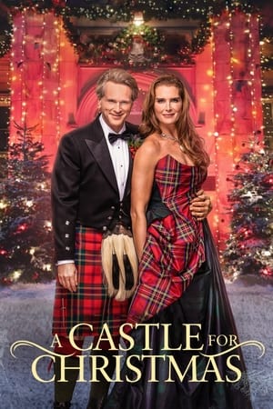 A Castle for Christmas (2021) Hindi Dual Audio 350MB