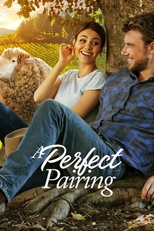 A Perfect Pairing (2022) Hindi Dual Audio – HD Poster Download - filmyfly