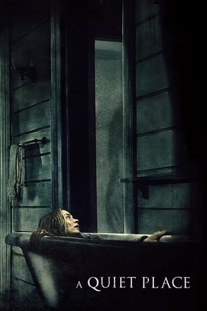 A Quiet Place 2018 Hindi Dual Audio [800MB] HD Poster Download - filmyfly