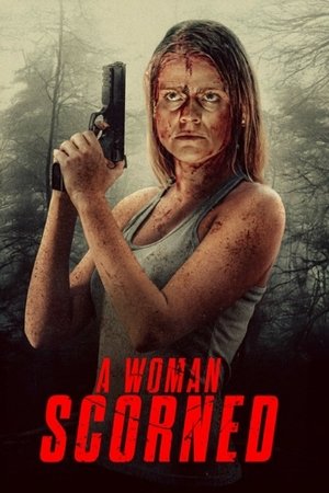 A Woman Scorned (2025) Hindi (MULTI AUDIO) – – HD Poster Download - filmyfly