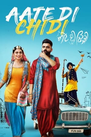 Aate di chidi (2018) Punjabi Movie - [400MB]