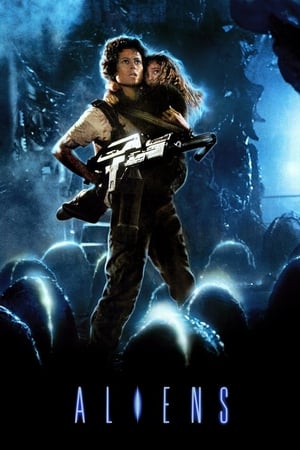 Aliens (1986) Hindi Dual Audio 550MB HD Poster Download - filmyfly