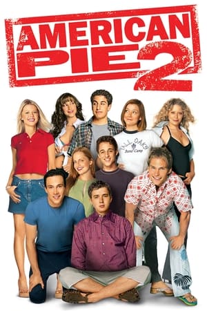American Pie 2 (2001) Hindi Dual Audio 375MB HD Poster Download - filmyfly