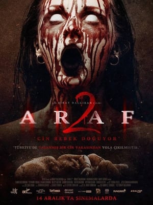 Araf 2 2019 Hindi Dual Audio [750MB]