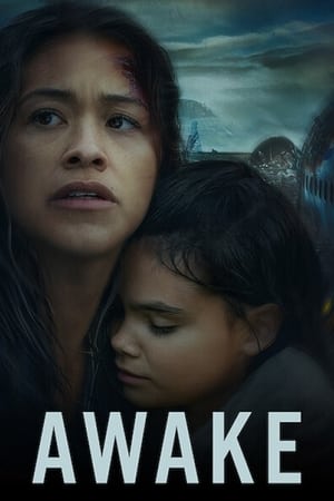 Awake (2021) Hindi Dual Audio 300MB HD Poster Download - filmyfly