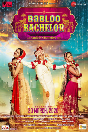 Babloo Bachelor (2021) Hindi Movie – HD Poster Download - filmyfly