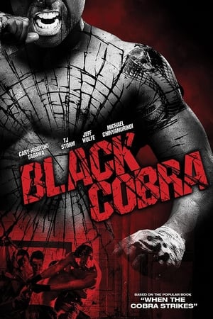 Black Cobra (2012) Hindi Dual Audio 300MB