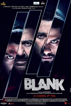 Blank (2019) Hindi Movie - [350MB]
