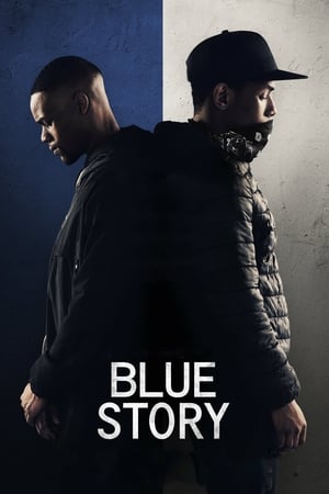 Blue Story (2019) Hindi Dual Audio –