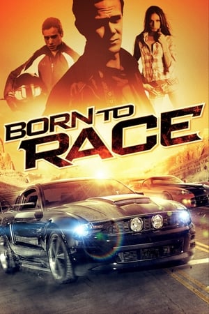 Born to Race 2011 Hindi Dual Audio 300MB HD Poster Download - filmyfly