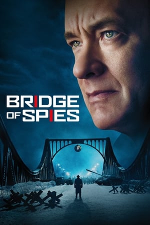 Bridge of Spies (2015) Hindi Dual Audio 450MB