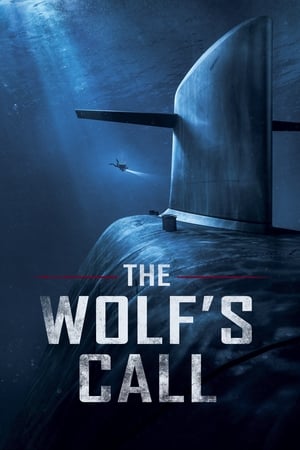 Call (2020) Hindi Dual Audio 400MB HD Poster Download - filmyfly
