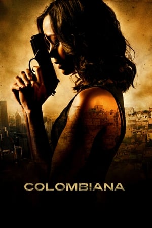 Colombiana (2011) Hindi Dual Audio 350MB