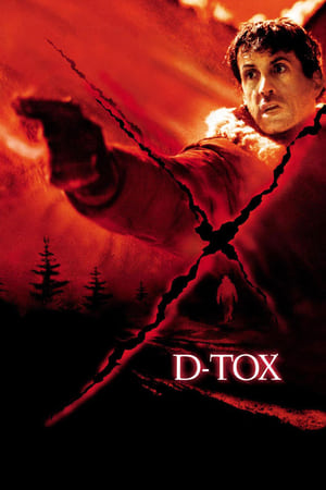 D-Tox Eye See You 2002 Hindi Dual Audio [700MB] HD Poster Download - filmyfly