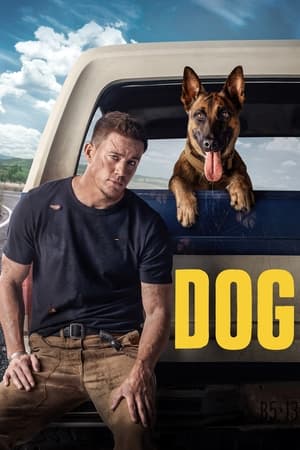 Dog (2022) Hindi Dual Audio – HD Poster Download - filmyfly