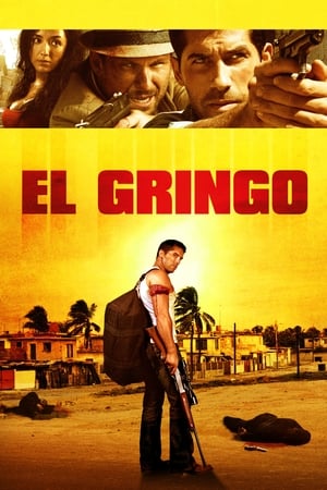 El Gringo (2012) Hindi Dual Audio [900MB] HD Poster Download - filmyfly