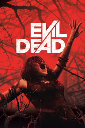 Evil Dead 2013 Hindi Dual Audio [760MB] HD Poster Download - filmyfly