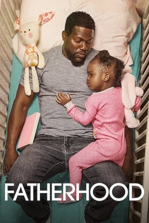 Fatherhood (2021) Hindi Dual Audio [1GB]