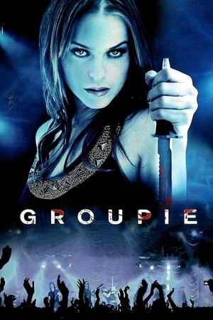 Groupie (2010) Hindi Dual Audio [1.1GB] HD Poster Download - filmyfly