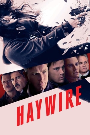 Haywire (2011) Hindi Dual Audio [700MB] HD Poster Download - filmyfly