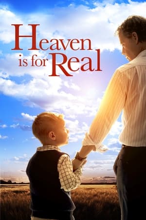 Heaven Is for Real (2014) Hindi Dual Audio [850MB] ESubs
