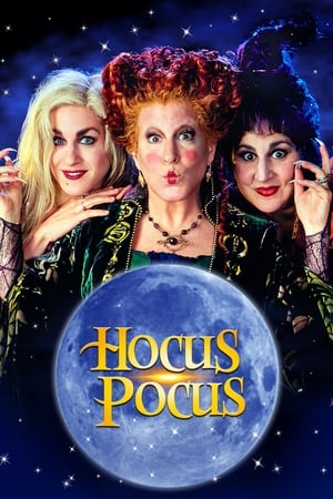 Hocus Pocus 1993 Hindi Dual Audio [850MB] HD Poster Download - filmyfly