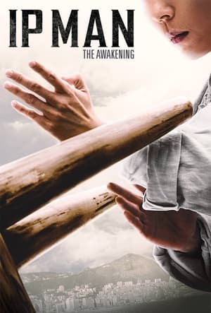 Ip Man: The Awakening (2022) Hindi Dual Audio – 480p