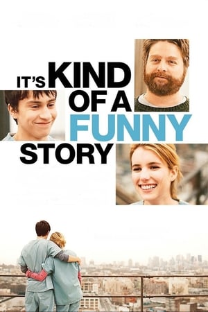Its Kind of a Funny Story 2010 Hindi Dual Audio 330MB
