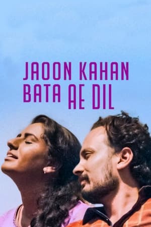 Jaoon Kahan Bata Ae Dil (2019) Hindi Movie [830MB]