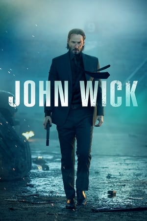 John Wick (2014) Hindi Dual Audio 300MB ESubs HD Poster Download - filmyfly