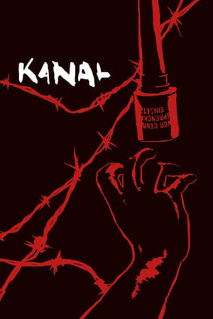 Kanal 2015 Hindi Dual Audio [1.3GB] HD Poster Download - filmyfly