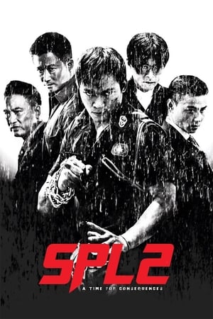 Kill Zone 2 (2015) Hindi Dual Audio 400MB HD Poster Download - filmyfly