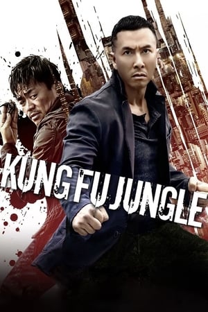 Kung Fu Jungle (2014) Hindi Dual Audio 300MB HD Poster Download - filmyfly
