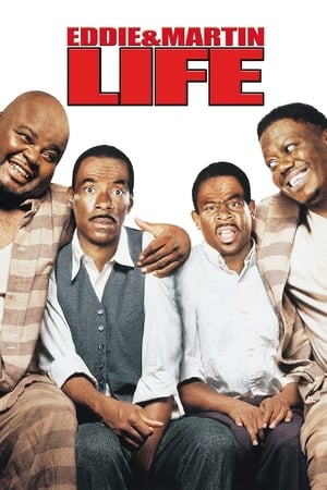 Life (1999) Hindi Dual Audio 350MB