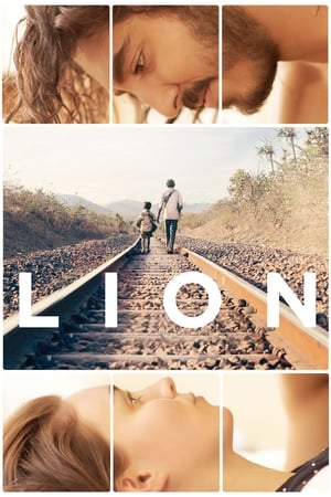 Lion (2016) Movie [350MB] Download HD Poster Download - filmyfly