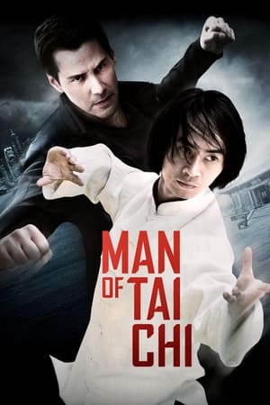 Man of Tai Chi (2013) Hindi Dual Audio –