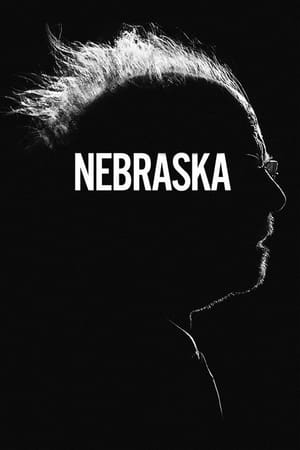 Nebraska 2013 Dual Audio Hindi Movie - 1GB HD Poster Download - filmyfly