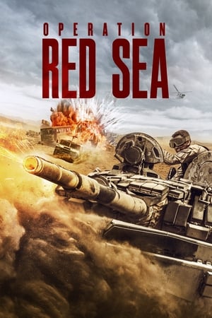 Operation Red Sea (2018) Hindi Dual Audio 450MB