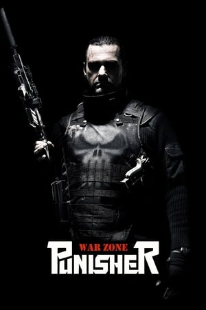 Punisher: War Zone (2008) Hindi Dual Audio 340MB HD Poster Download - filmyfly