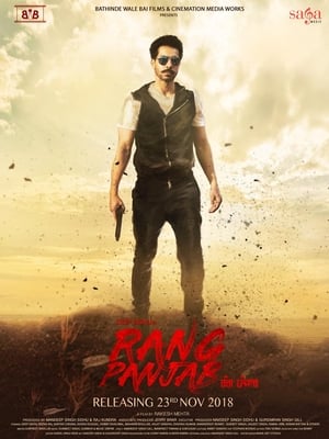 Rang Panjab (2018) Punjabi Movie [1GB] HD Poster Download - filmyfly