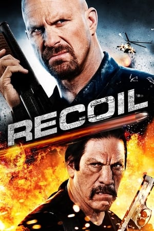 Recoil (2011) Hindi Dual Audio 300MB ESubs