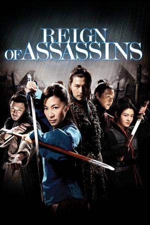 Reign Of Assassins (2010) Hindi Dual Audio 400MB