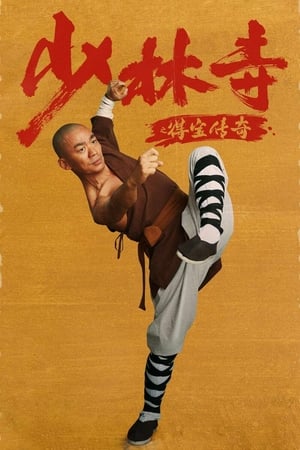 Rising Shaolin: The Protector (2021) Hindi Dual Audio –