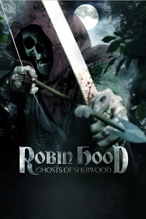 Robin Hood: Ghosts of Sherwood (2012) Hindi Dual Audio [1GB]