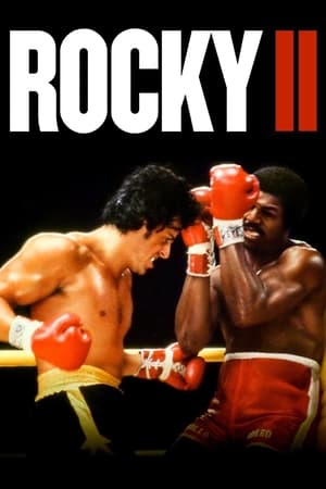 Rocky II (1979) Dual Audio Hindi 400MB HD Poster Download - filmyfly