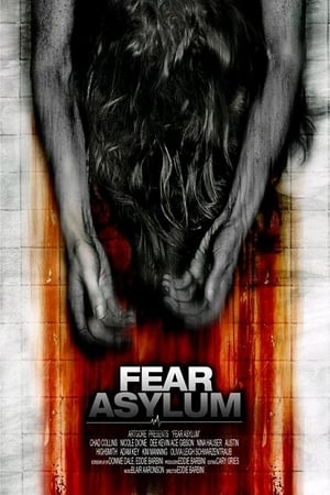 Room 33 (2009) Hindi Dual Audio 300MB HD Poster Download - filmyfly