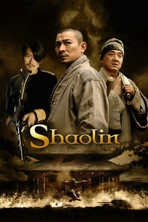 Shaolin (2011) Hindi Dual Audio [1.3GB]